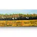 Ewa Mościszko - Obraz akrylowy na płótnie,  120x40x2cm,  Podlaskie granice 