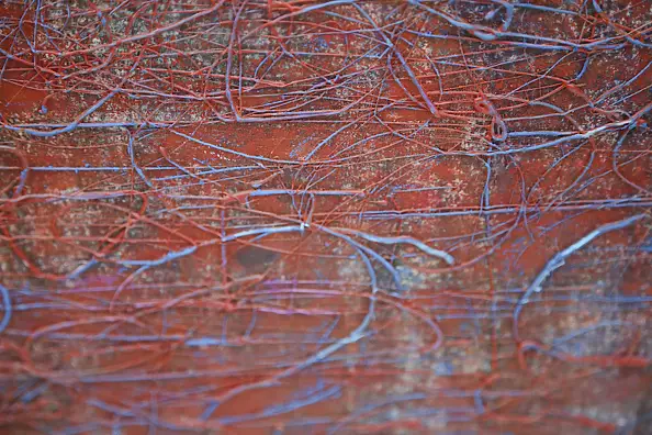 Aldona Zając - Decorative image