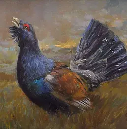 Damian Gierlach - Obraz olejny Głuszec II 24x30 GIERLACH