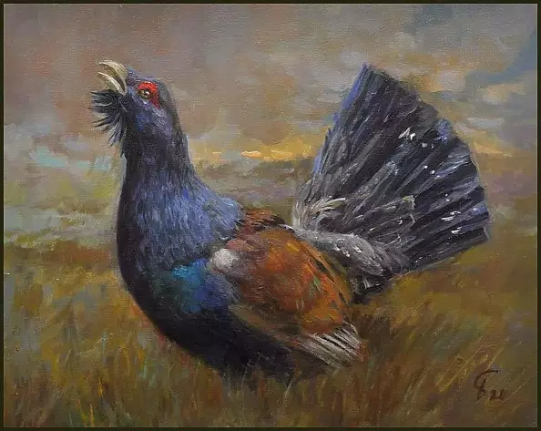 Damian Gierlach - Oil painting Głuszec II 24x30 GIERLACH