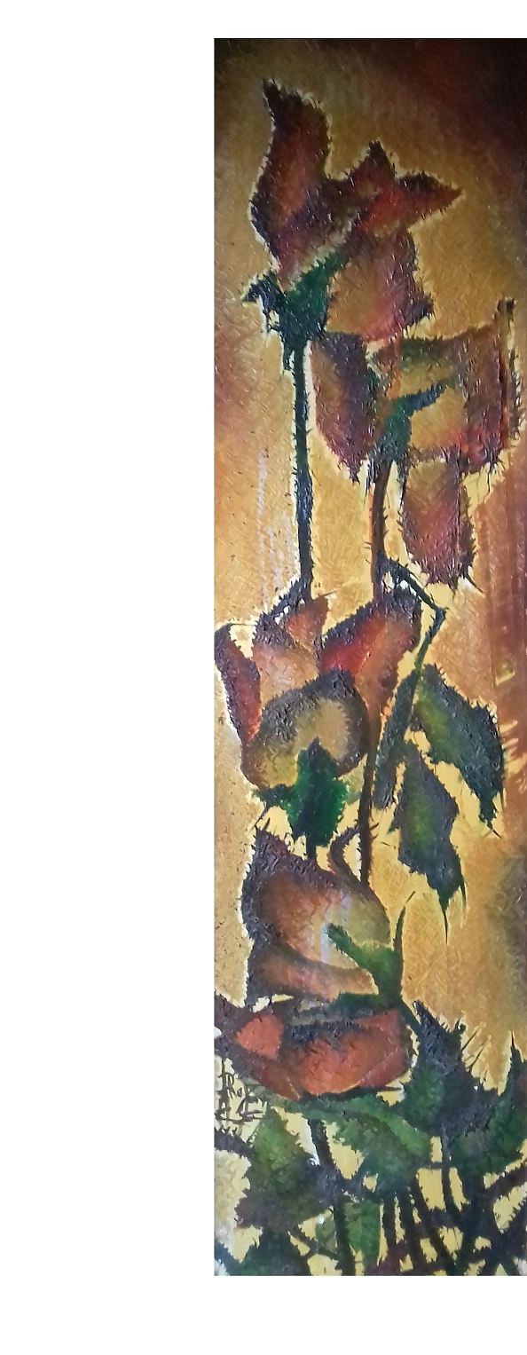 Rafał Jarosz - Enchanted Poppy Flowers