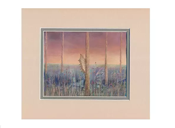 Anna Gorejowska - Expectancy