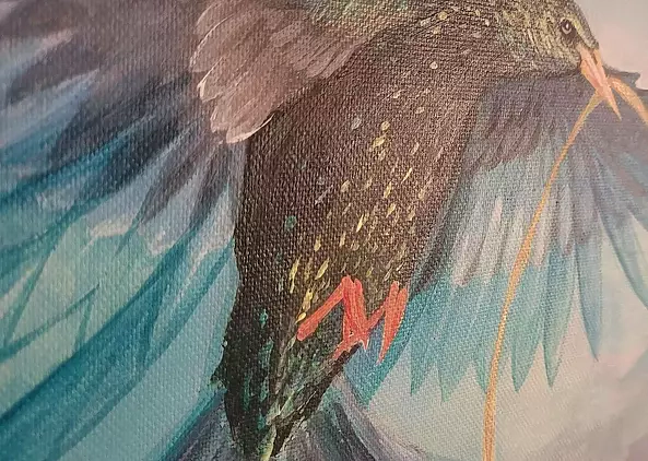 Dorota Kędzierska - Expectancy