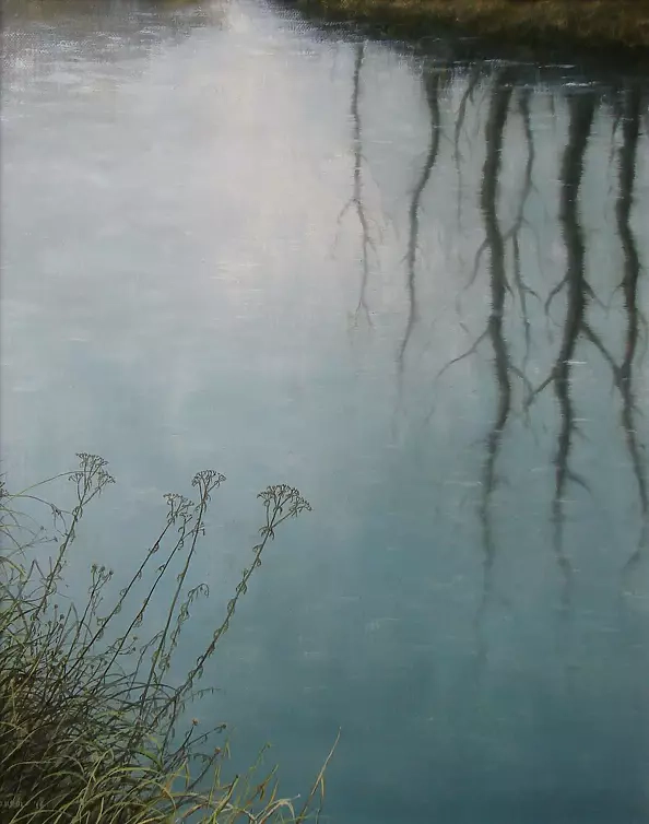 Dariusz Król - Reflection