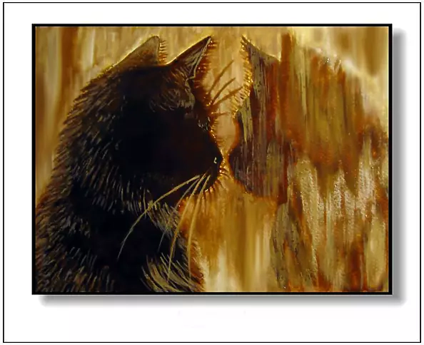 Jolanta Dusza - Reflection