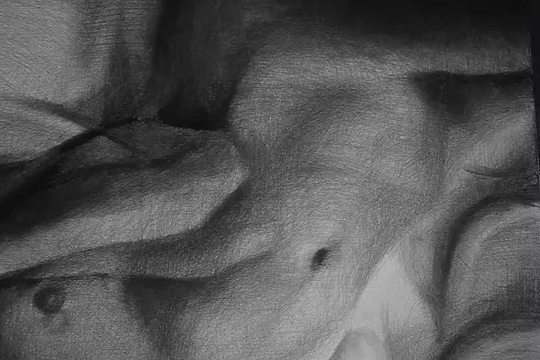 Kamila Ossowska - shades