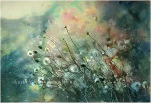 Joanna Magdalena - Feelings