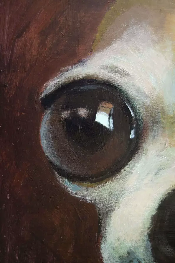 Natasha Lapkina - Odnaleziony