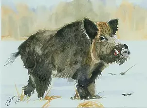 Zdzisław Rutkowski - Odyniec