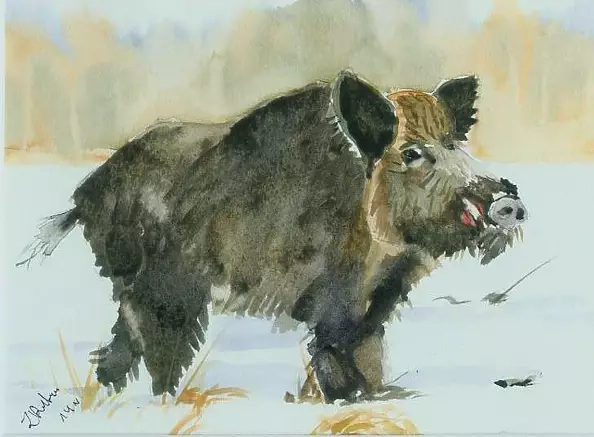 Zdzisław Rutkowski - Odyniec