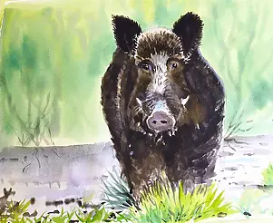 Zdzisław Rutkowski - Odin