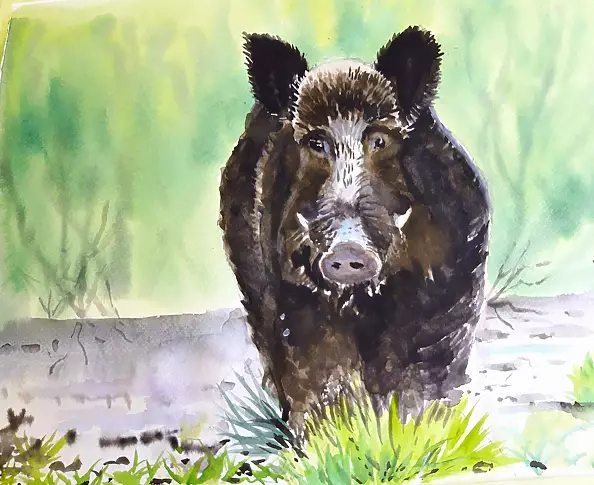 Zdzisław Rutkowski - Odyniec