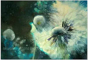 Joanna Magdalena - Odyssey