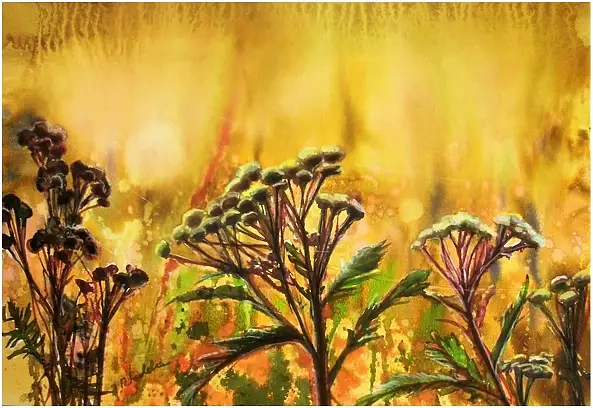 Joanna Magdalena - Ogień