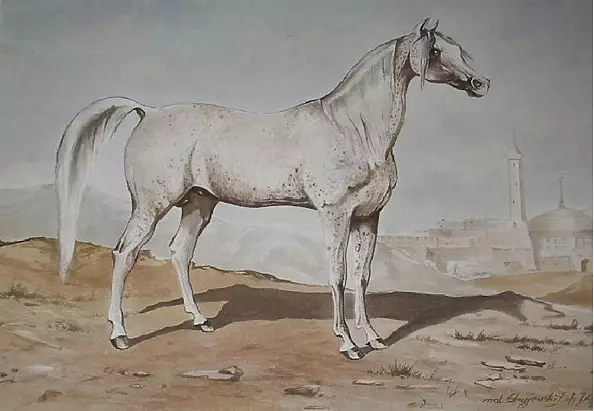 Jacek Stryjewski -  Ogier Merdżenkir 1845