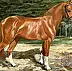Jolanta Kalopsidiotis - stallion