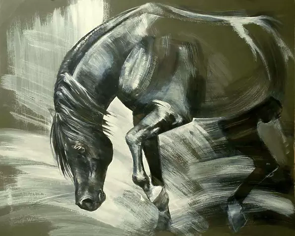 Jolanta Kalopsidiotis - stallion