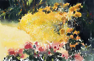   - Garden M. (marigold)