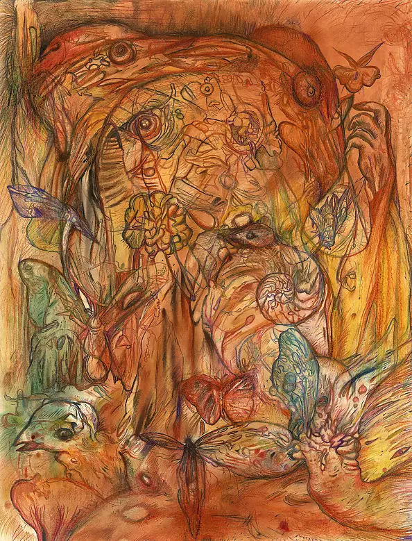 Piotr Zygmunt - Garden of Dreams