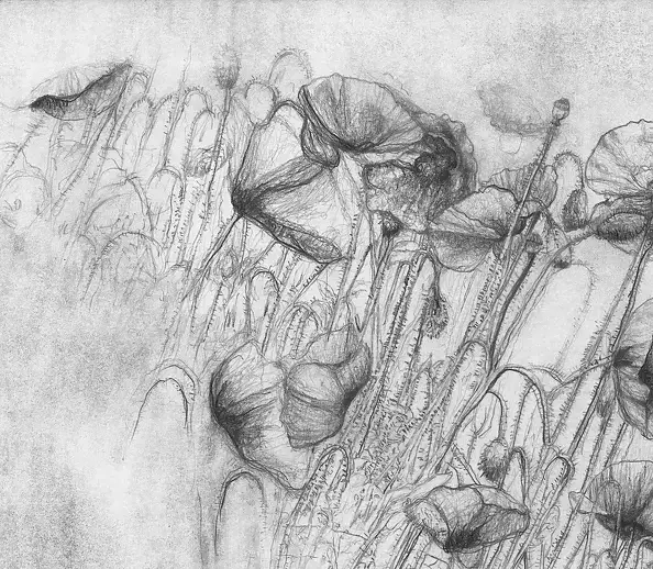 Agnieszka Osak - Ogród Życia