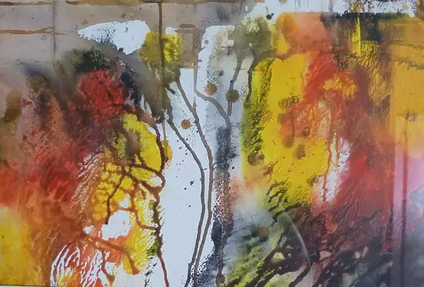 Wieter Wieter - Garden