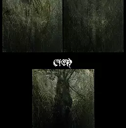 Agnieszka Osipa - Cover for a CD