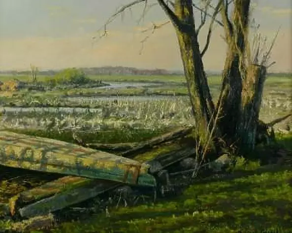 Wojciech Górecki - Old boats in Dolistowo
