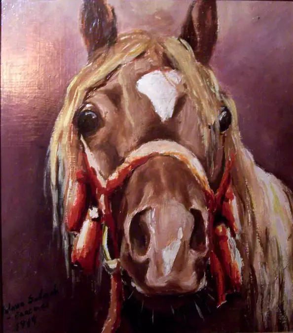 Natasza Sobczak - Stara klacz