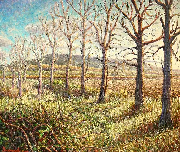 Fabio Masciangelo - Old poplar forest