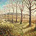 Fabio Masciangelo - Old poplar forest