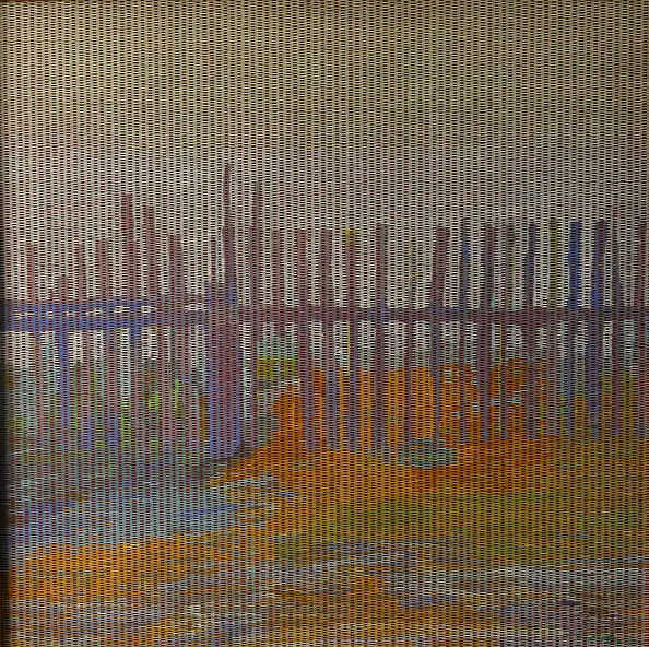 Andrzej Bator - Z drugiej strony ogródka