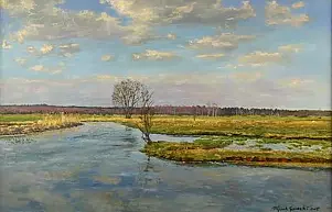 Wojciech Górecki - Biebrzańskie spaces