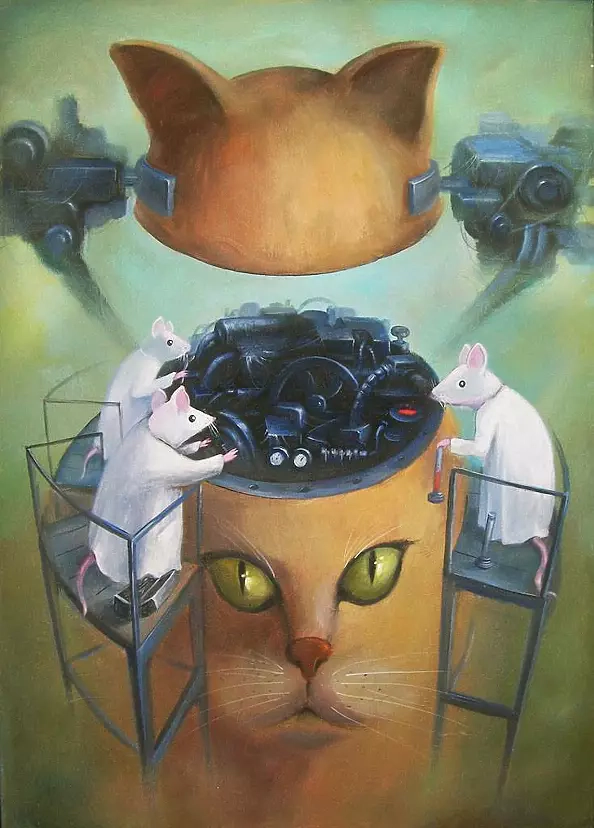 Maciej Wierzbicki - operation KOT