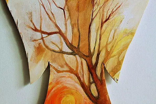 Adriana Laube - Guardian