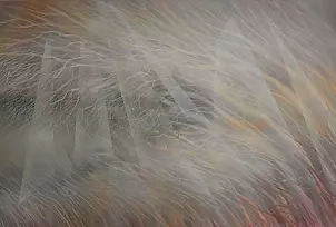 Mariola Świgulska - Braided with melancholy