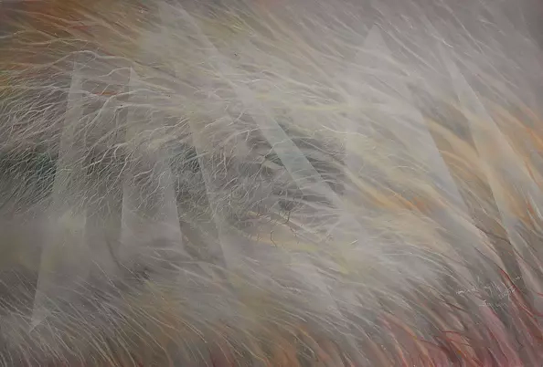 Mariola Świgulska - Oplatające melancholią 