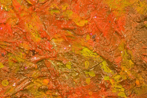 Pamela Rys - Orange Supernova