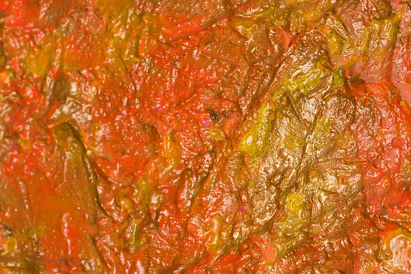 Pamela Rys - Orange Supernova