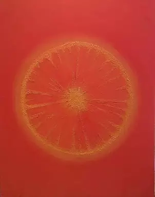 Joanna Magdalena - Orange