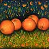 Mariusz Krzysztof Aniśko - Oranges