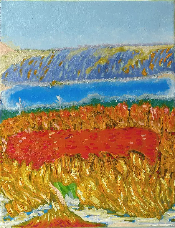 Elżbieta Goszczycka - Oranżowe poletko