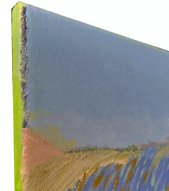 Elżbieta Goszczycka - Oranżowe poletko