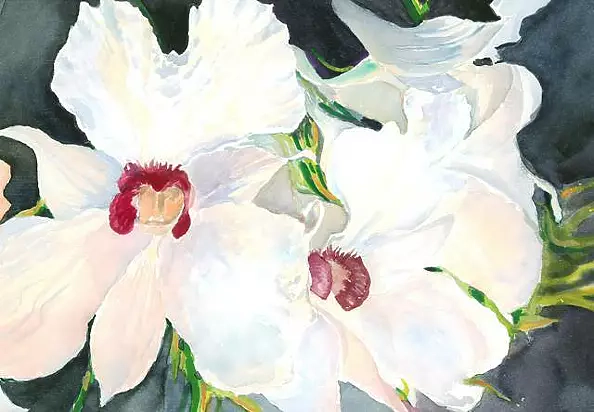 Zdzisław Rutkowski - Storczyk III