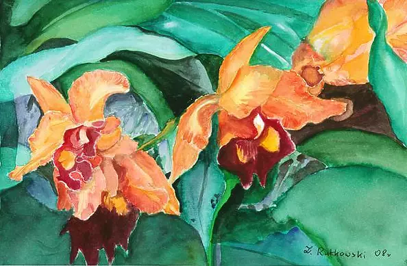 Zdzisław Rutkowski - orchid II