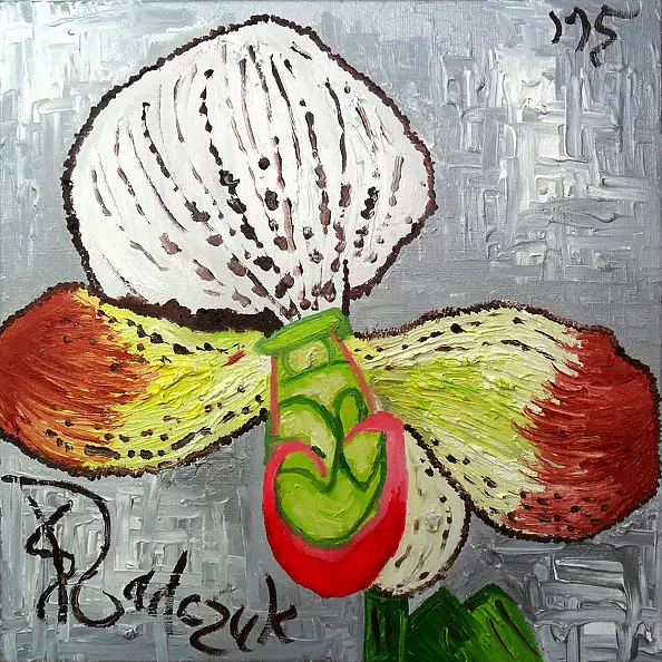 Sylwia Radczuk - Orchidee