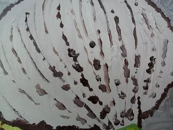 Sylwia Radczuk - Orchidee