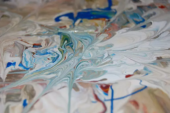 Amelia Augustyn - Organic