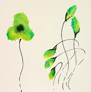 Rachel McCullock - Oriental poppies