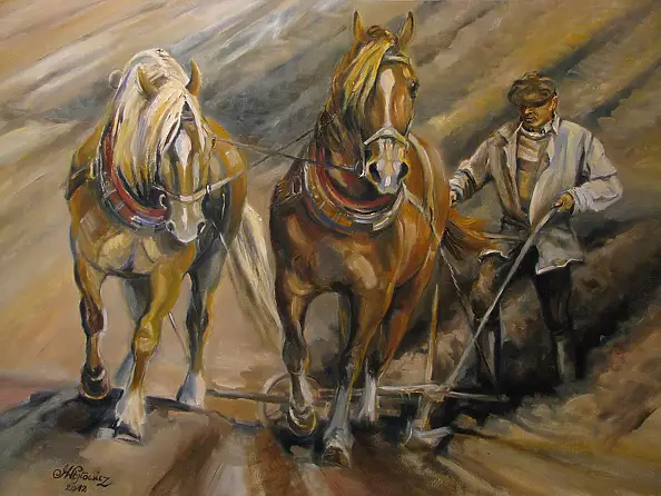 Małgorzata Wójtowicz Cichoń - tillage