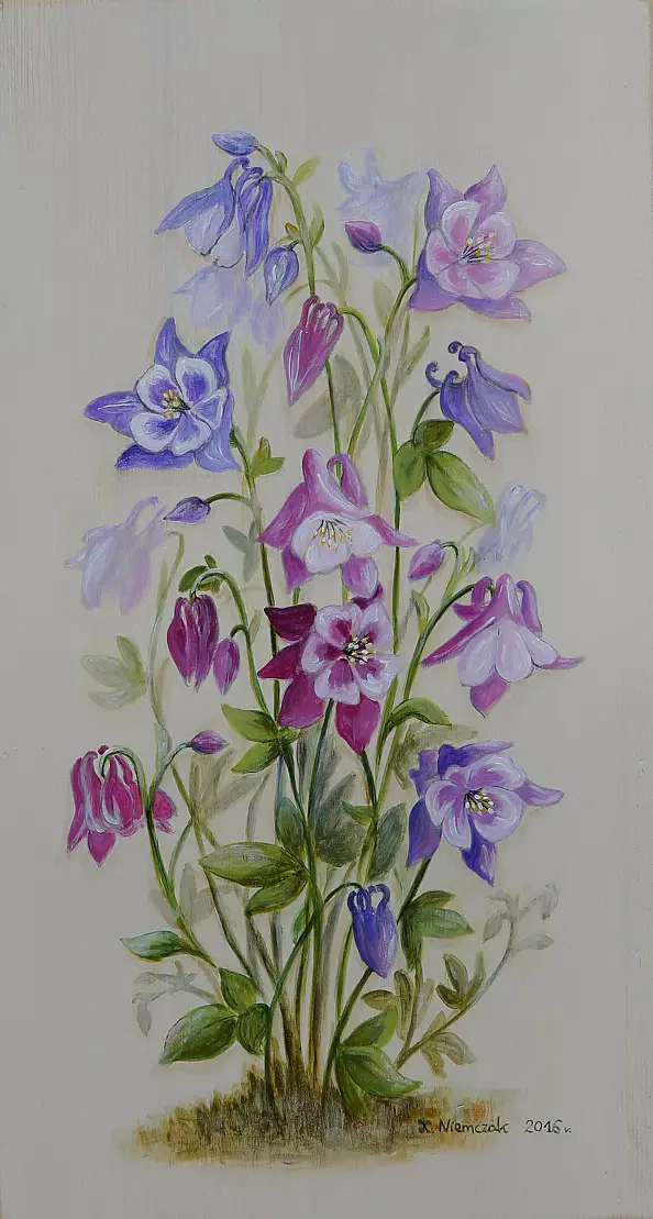 Katarzyna Niemczak - Eaglets